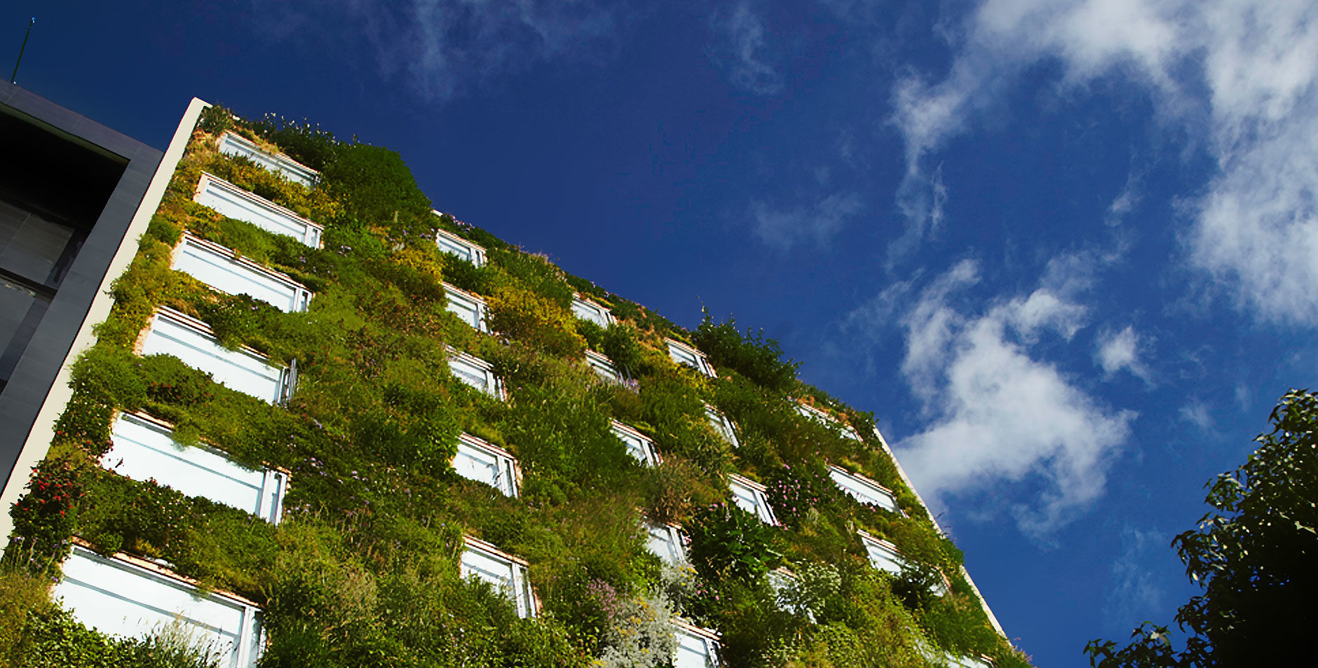 Hotel B3 Virrey Bogota Exterior photo